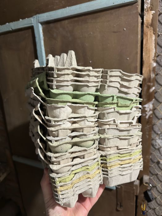 22 wytłaczanki na jajka