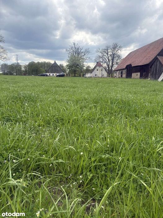 Działka 1,42 ha wraz z domem pod agroturystykę lub hodowlę koni