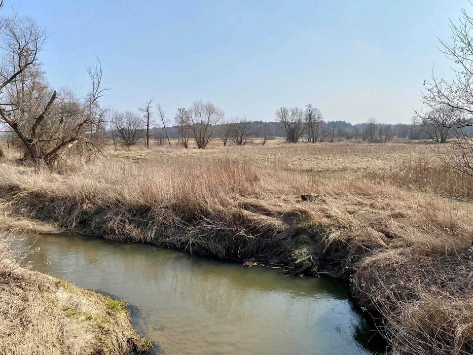 Działka z linią brzegową rzeki Mienia