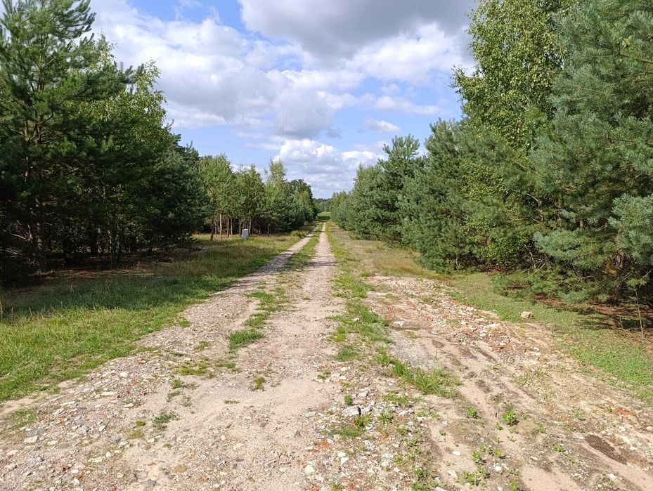 16 działek budowlanych od 1040m2 do 1254m2, Ludowinka gm. Wodzierady