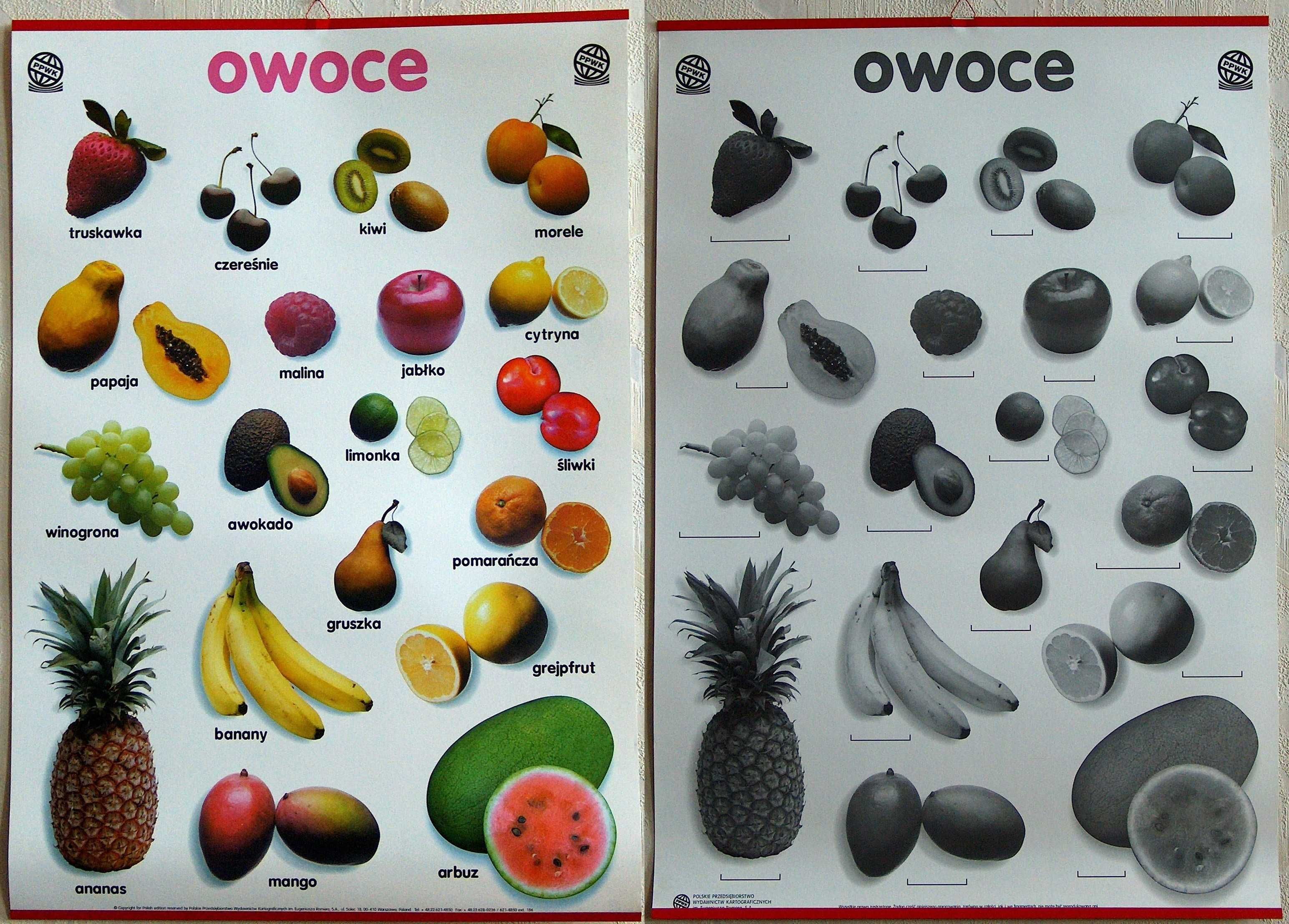Plansze edukacyjne – szkoła podstawowa