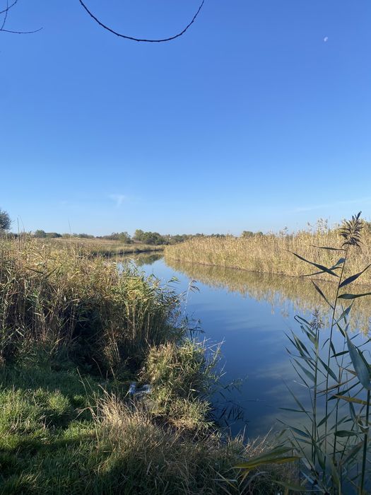 У продажу земельна ділянка, перша ліния річки, с.Піщанка,