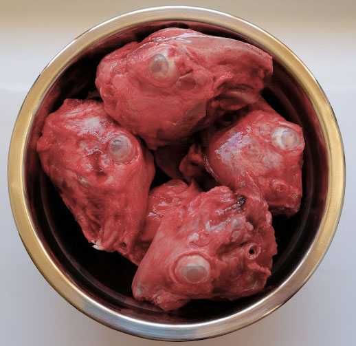 Голови КРОЛЯ (без шерсті)