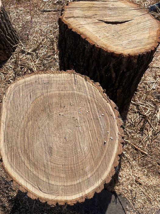 Дрова с доставкой!Смесь твёрдых пород! Оплата по факту 2 скм