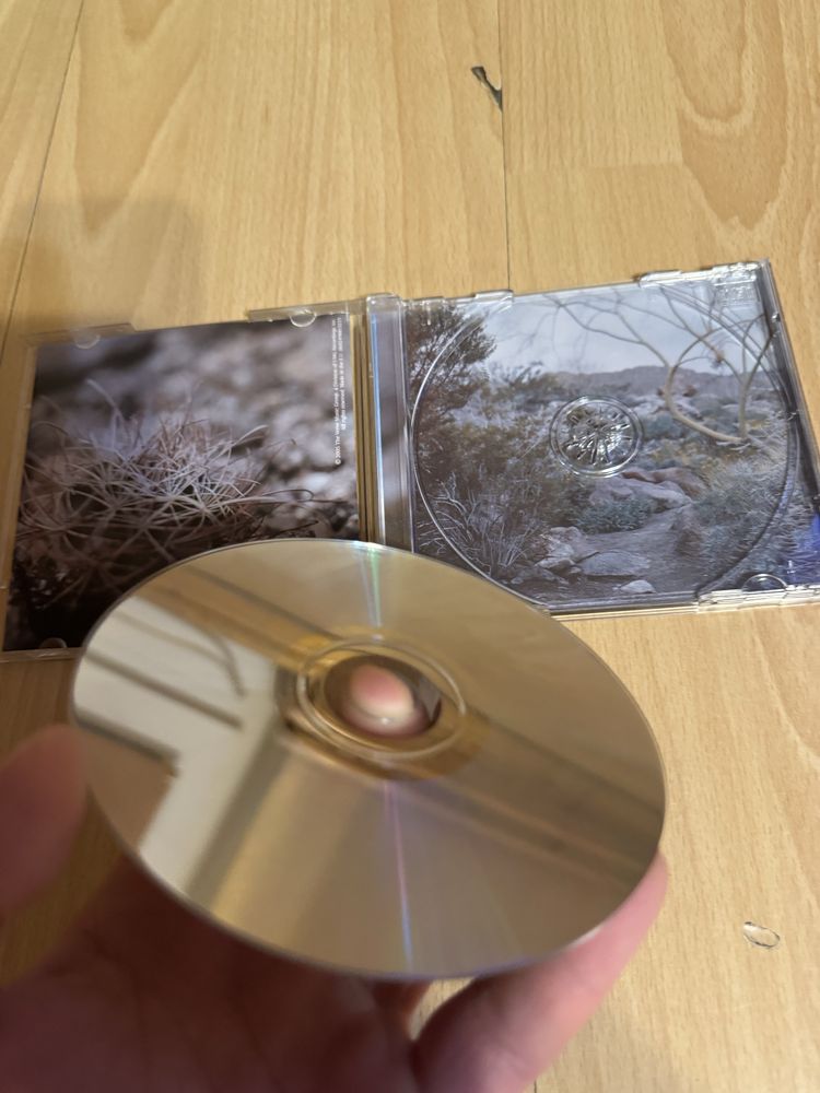 CD - Lizz Wright: Dreaming Wide Awake.