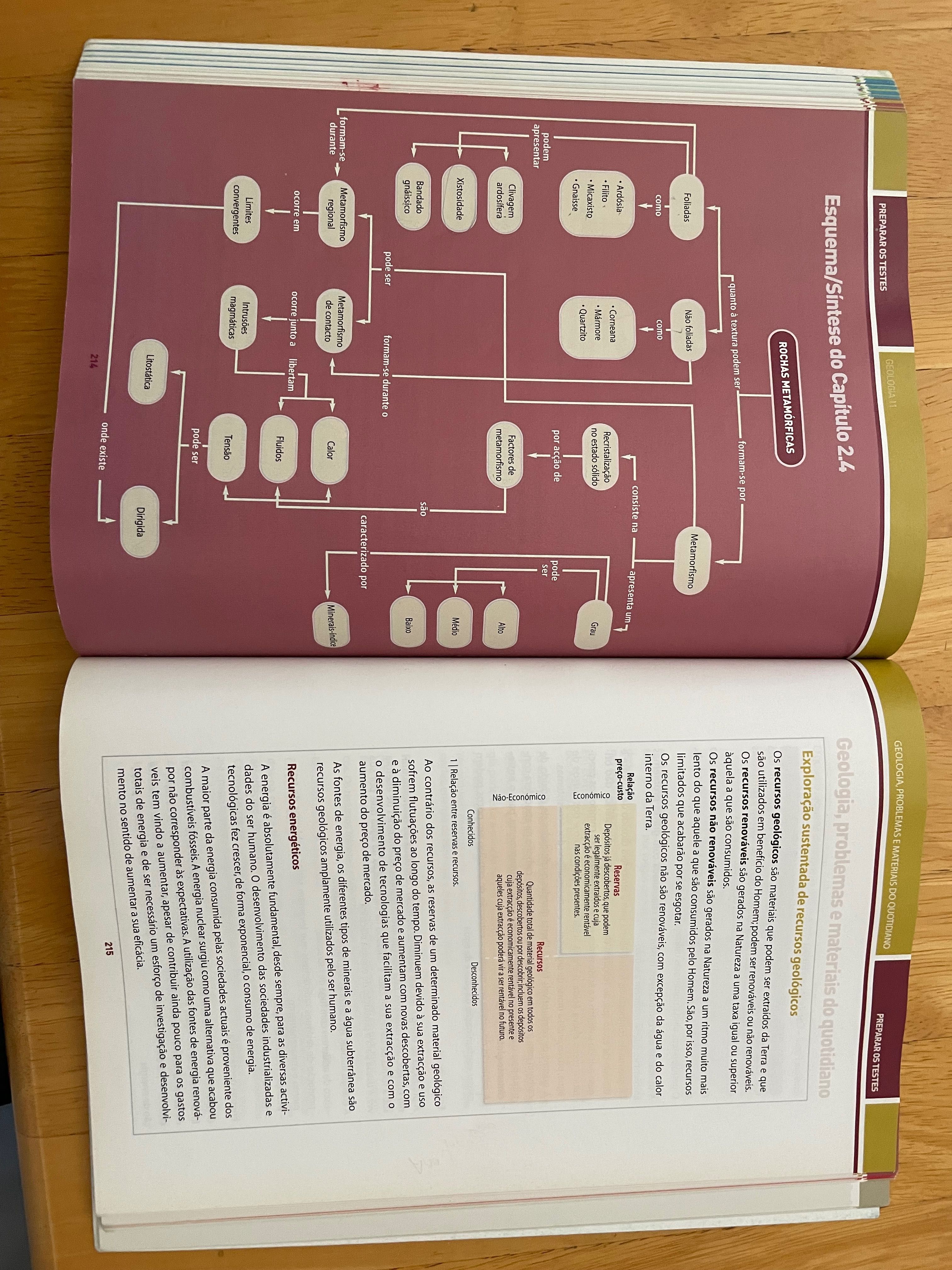 Biologia e Geologia 11º