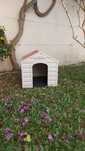 Casa para cães/ casota pvc 68 X 61 X 58 CM Polipropileno Conforto térm