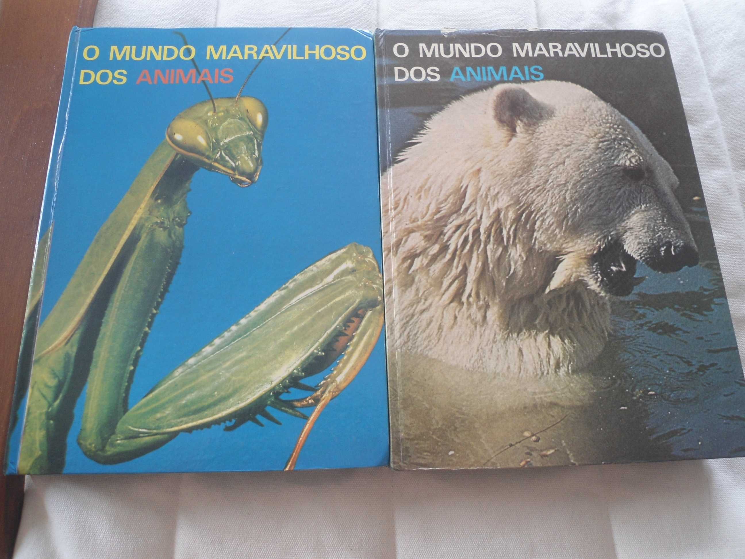 O Mundo Maravilhoso dos Animais