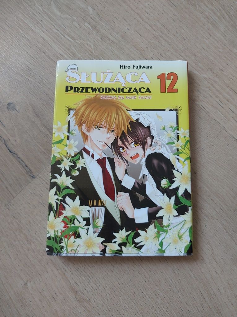 Manga Służąca przewodnicząca Tom 9,10,12