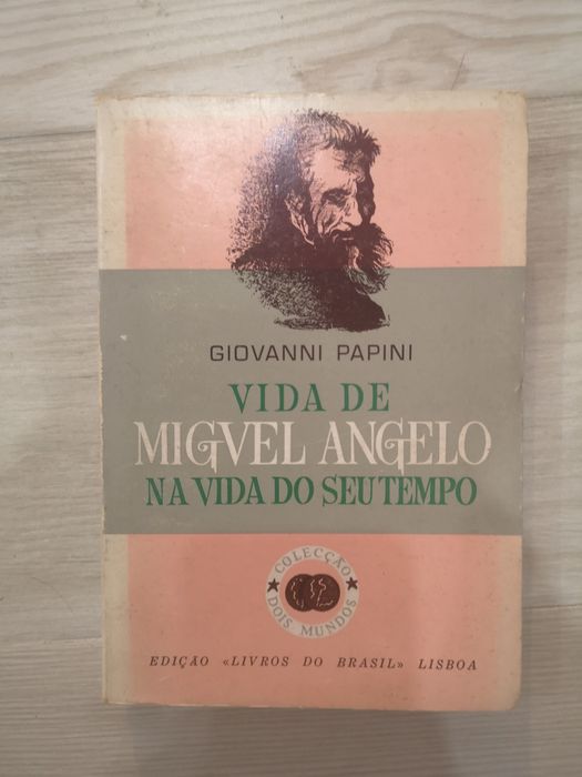 Livro Vida de Miguel Ângelo na vida do seu tempo