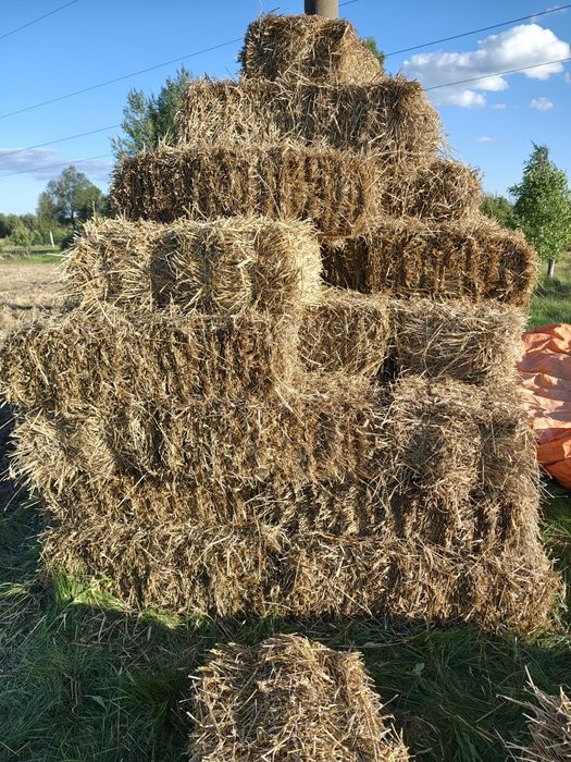 Солома, тюки, солома пшениця