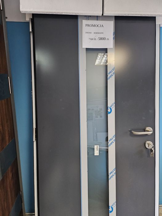 Drzwi wejściowe Hormann