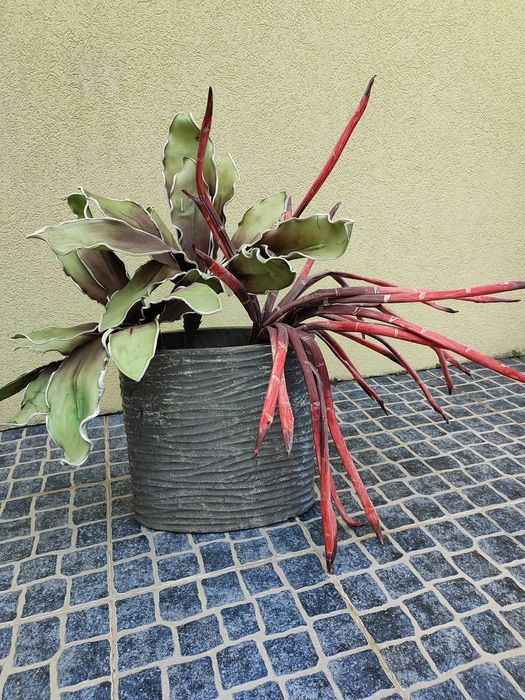 Jarra com plantas decorativas