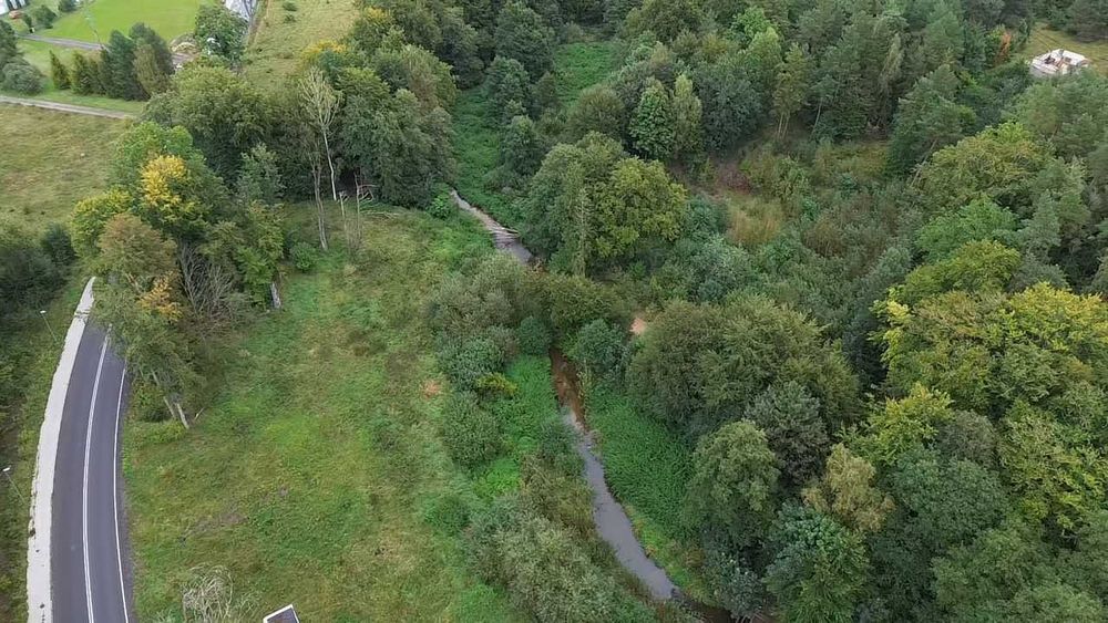 Działka rolno-leśna z warunkami zabudowy*30 561 m2*własny las*strumyk
