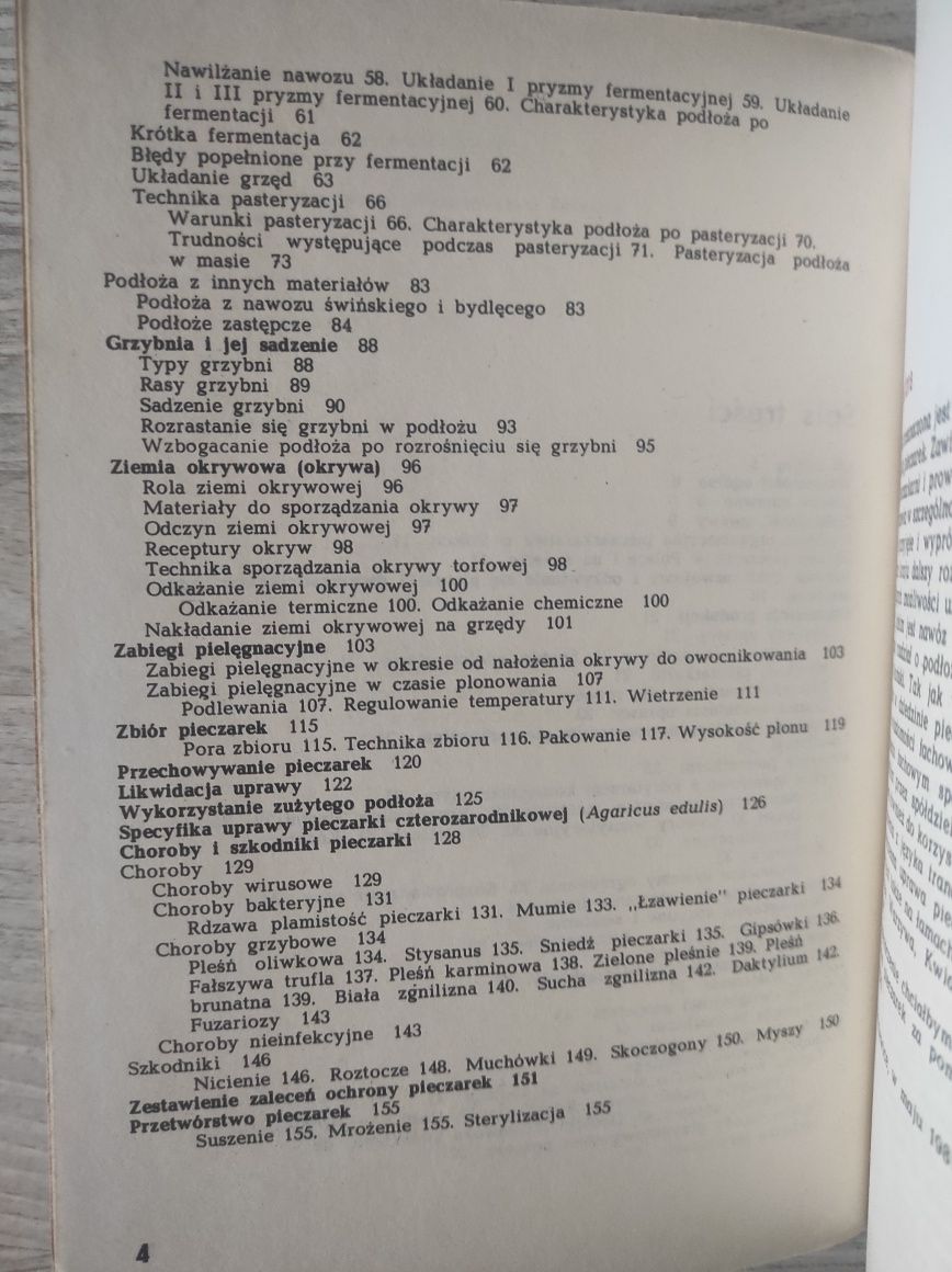 Pieczarka Krystian Szudyga 1984
