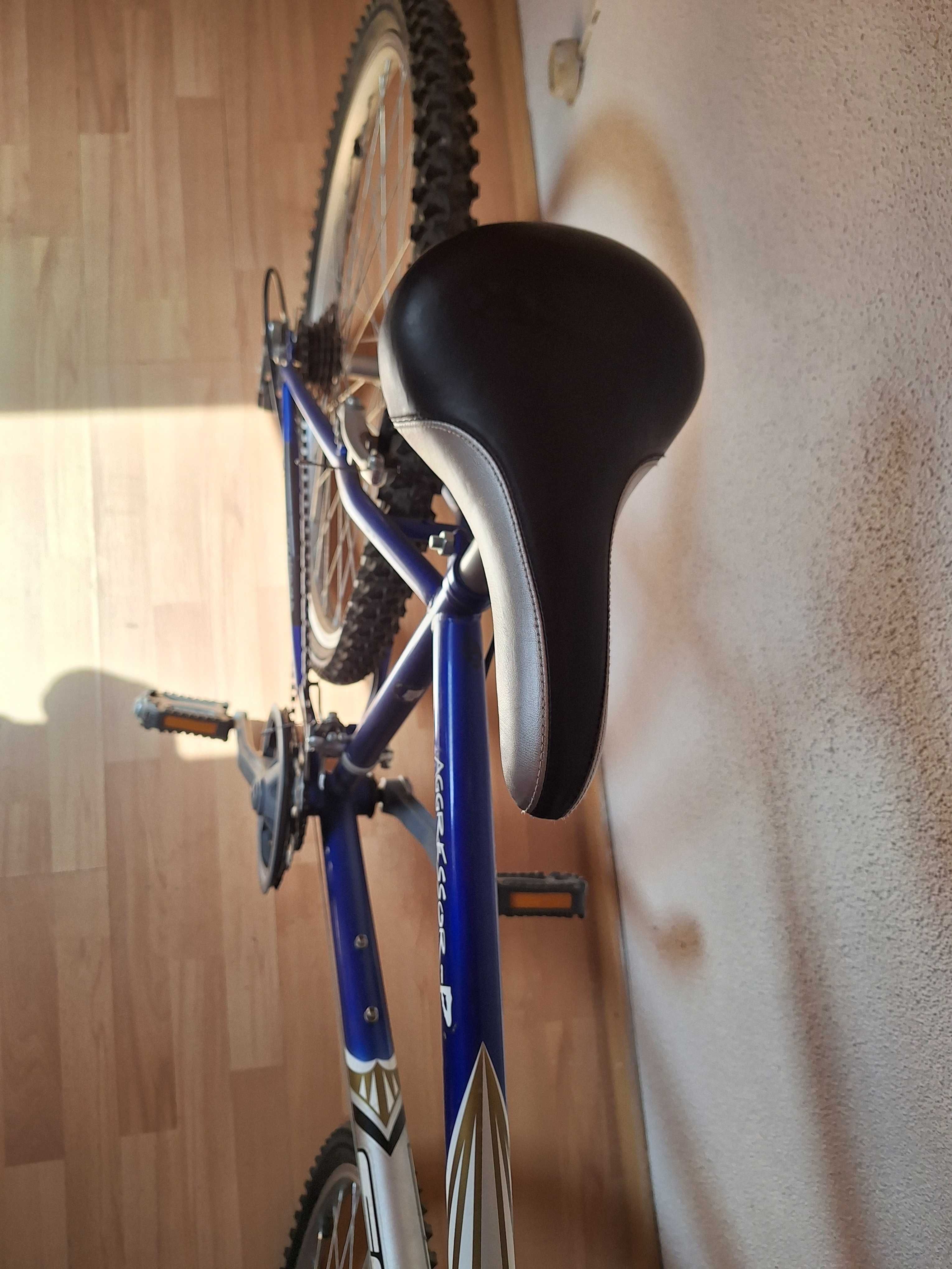 Bicicleta EMT Agressor-P