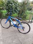 Bicicleta Adulto