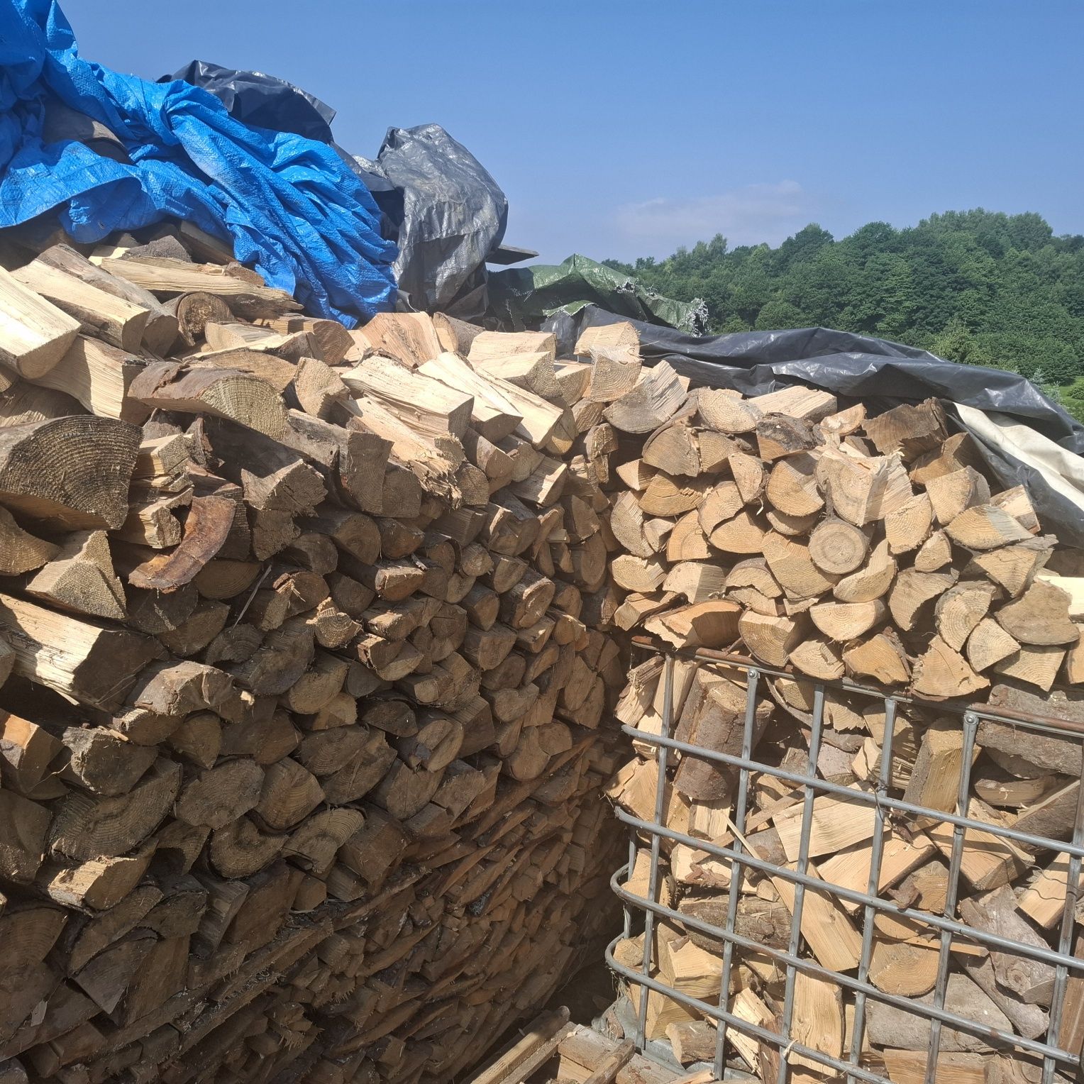 Jodła 200zl za kubik 3 letnia drewno opal
