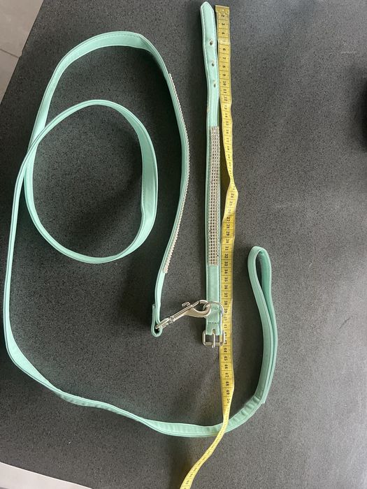 Obroza u smycz dla psa.Smycz 186 cm