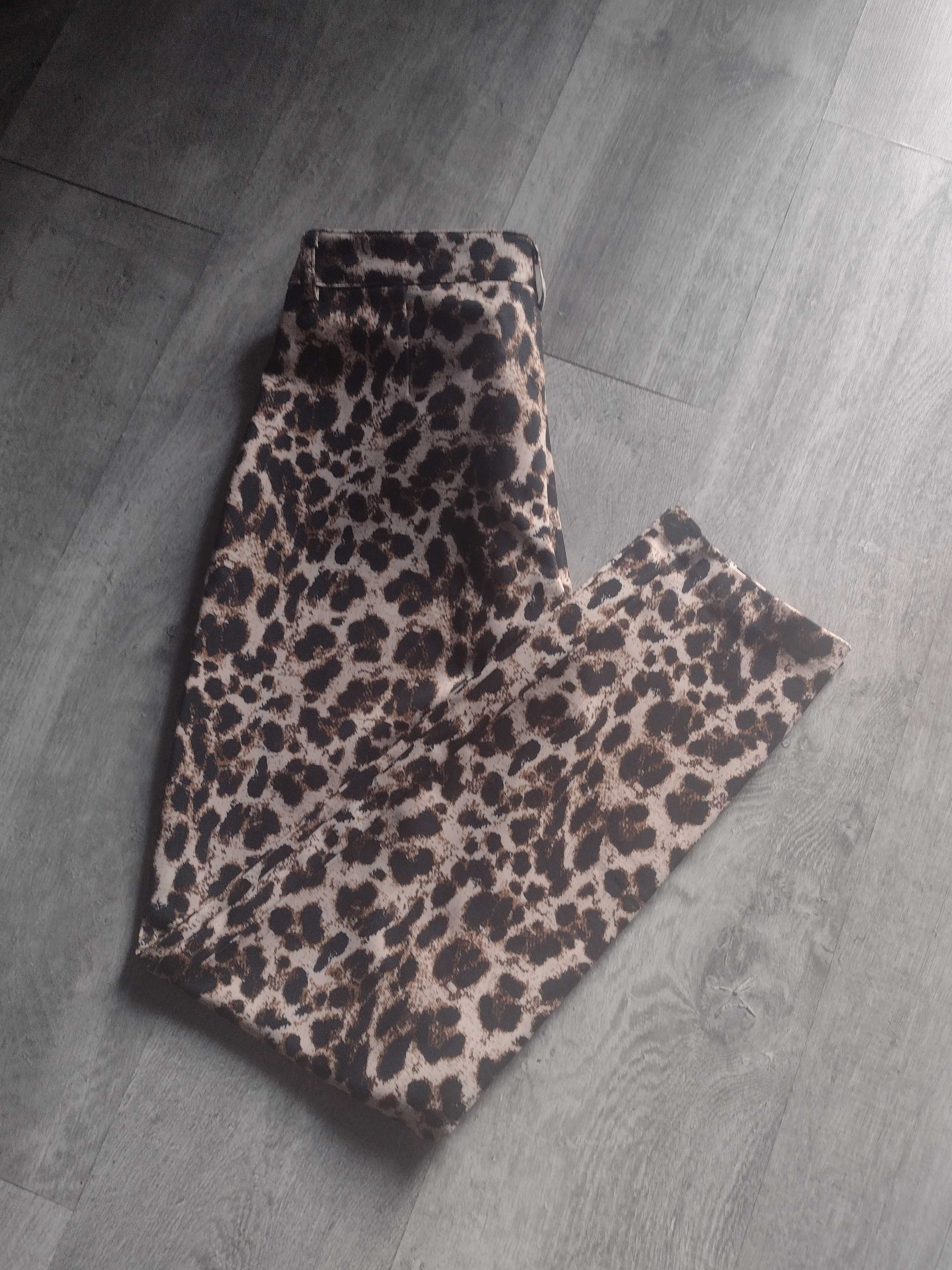 Spodnie w panterkę r. 38 Heidi Klum
