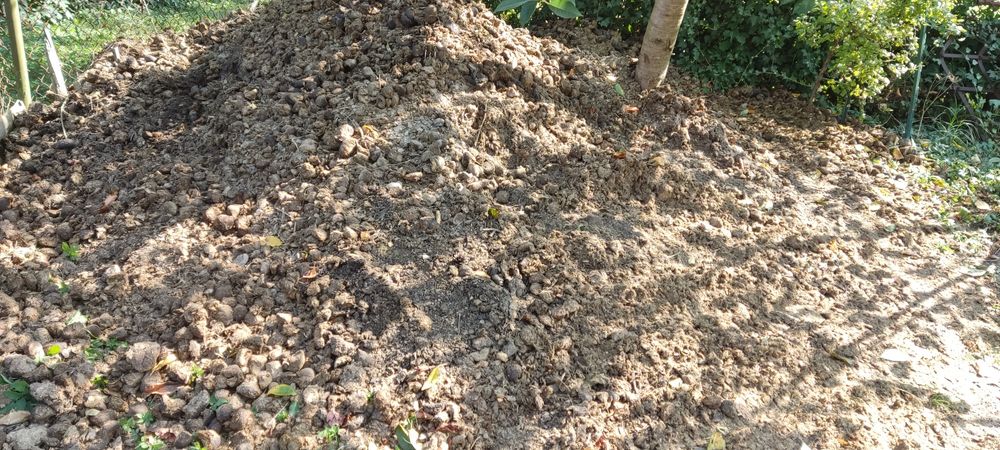 Nawóz koński, gnój, za darmo