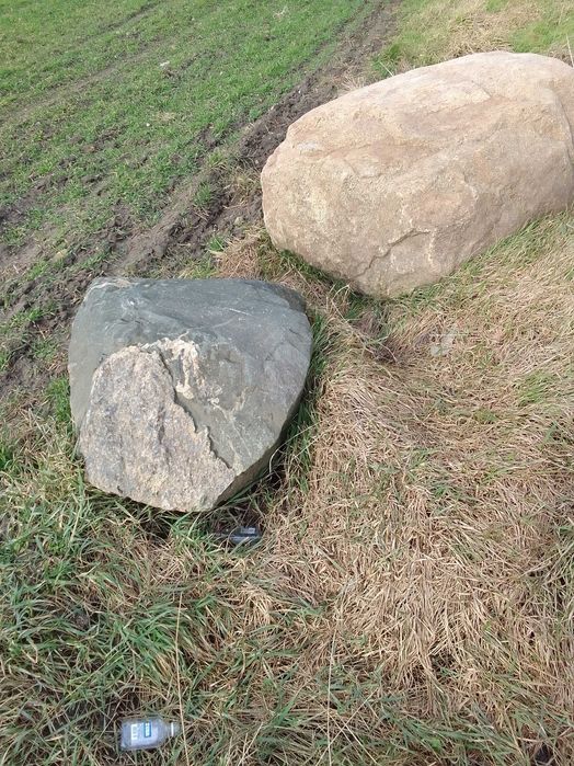 Oddam Spore Kamienie