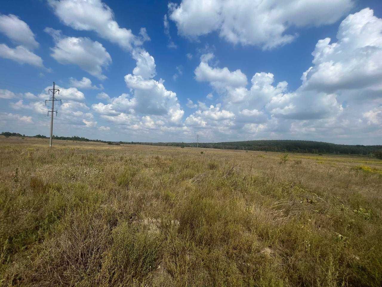 Ділянка ОСГ в с. Мироцьке, в Бучанському р-ні Київської обл 1,5982 га