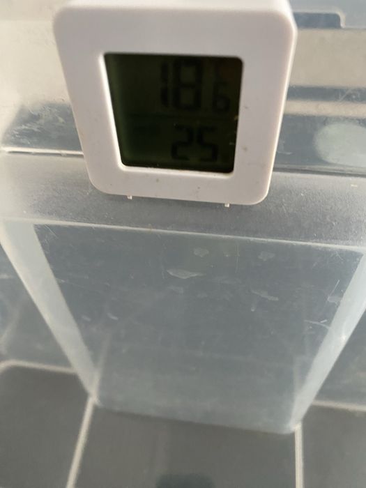 Контейнер террариум для рептилий , улиток, черепах