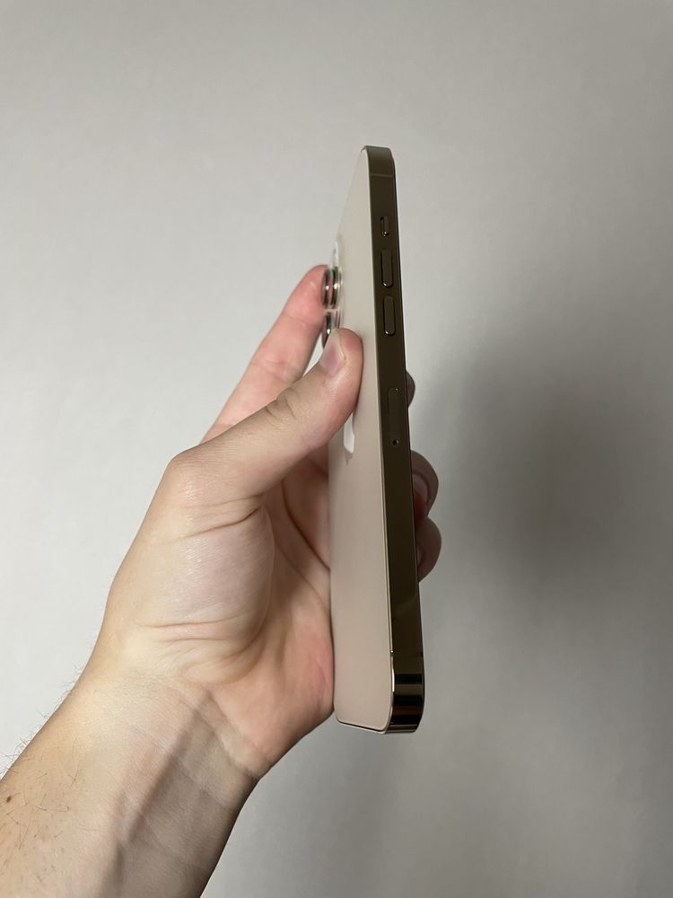 iPhone 12 Pro Max 256 GB NeverLock