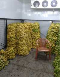 Продаем оборудование для длительного охлаждения, хранения бананов