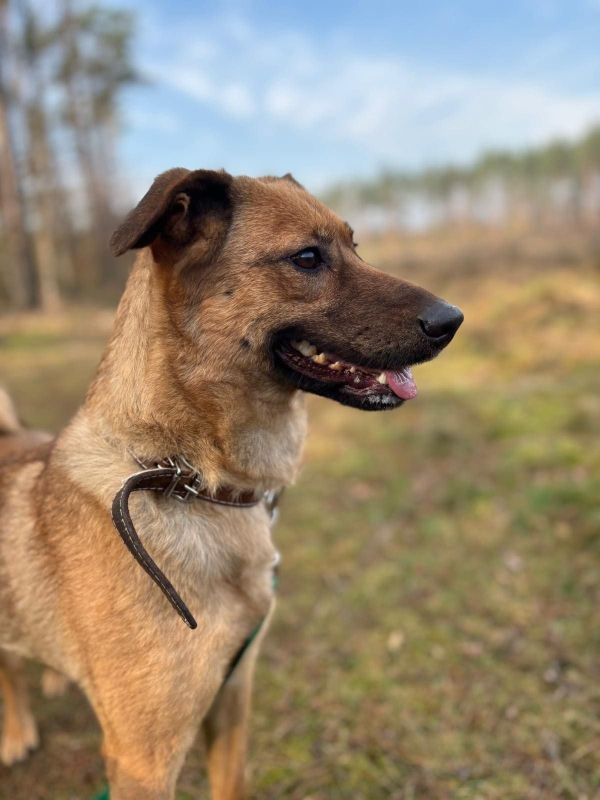 Kanapowa ale aktywna - Zuza. Jej kolega z pokoiku znalazł domek. Zosta