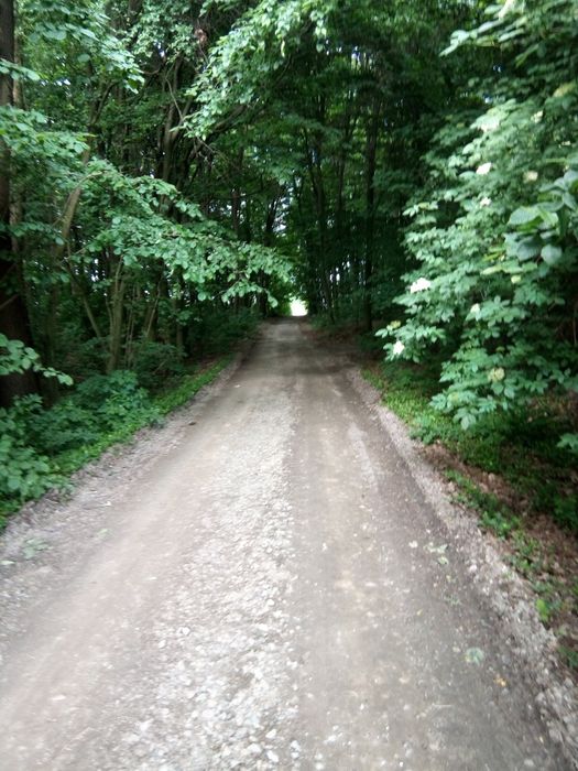Sprzedam siedlisko