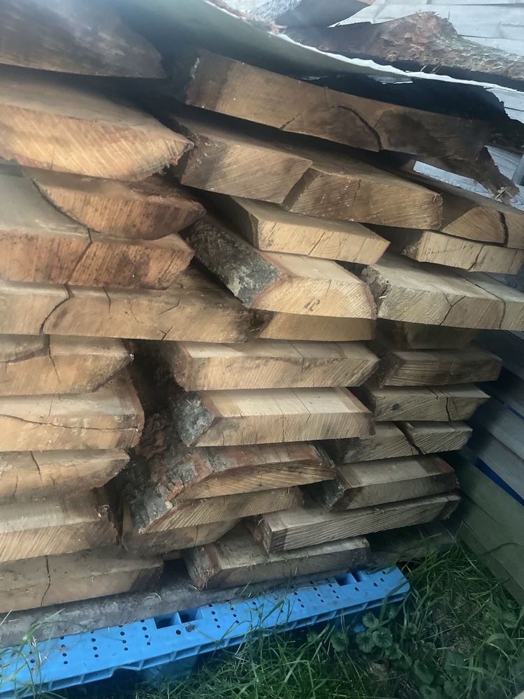 Dąb czerwony 6cm dlugosc 200cm wysokość 110