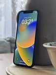 iPhone 12 - Stan BDB (kondycja baterii 95%)