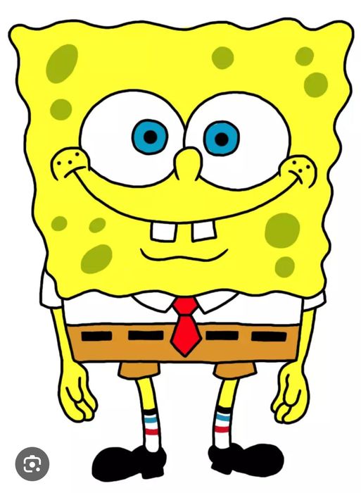 Eu limpo a sua casa!