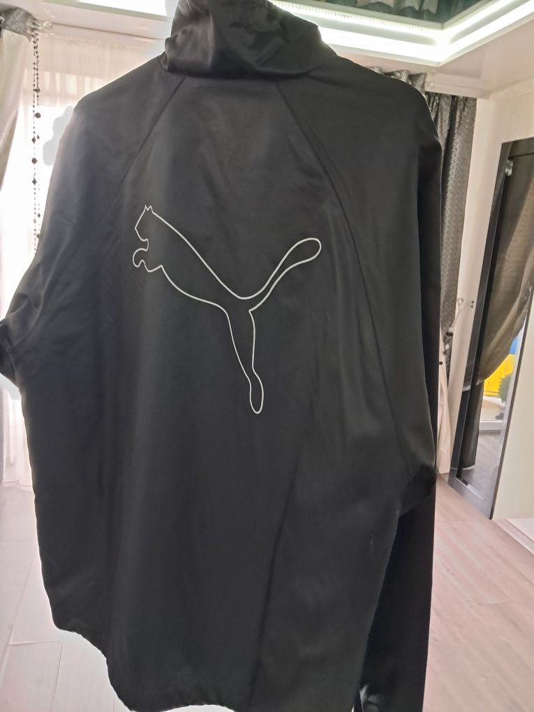 Вітровка Puma Ferrari.