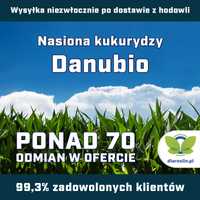 Kukurydza Danubio C1, opak. 80 tys. nas. z OptiPlus | dlaroslin.pl