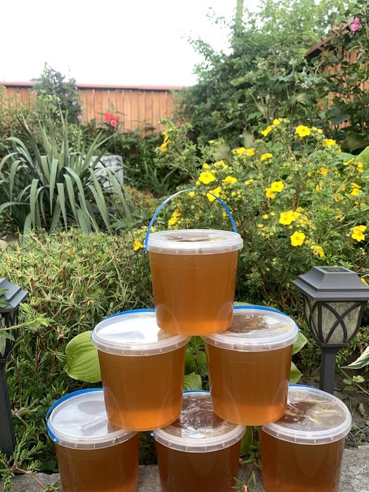 Травневий мед