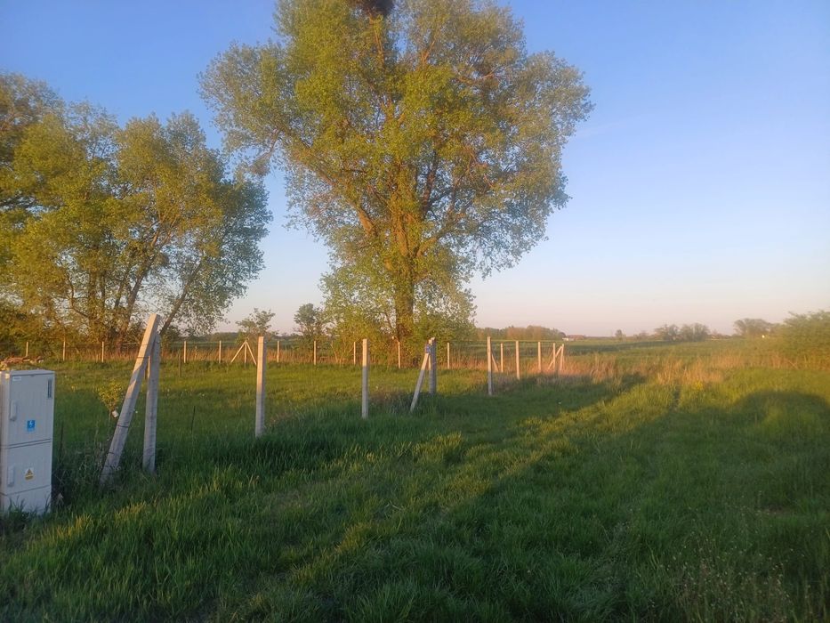 Sprzedam działki Mieściska, gmina Duszniki