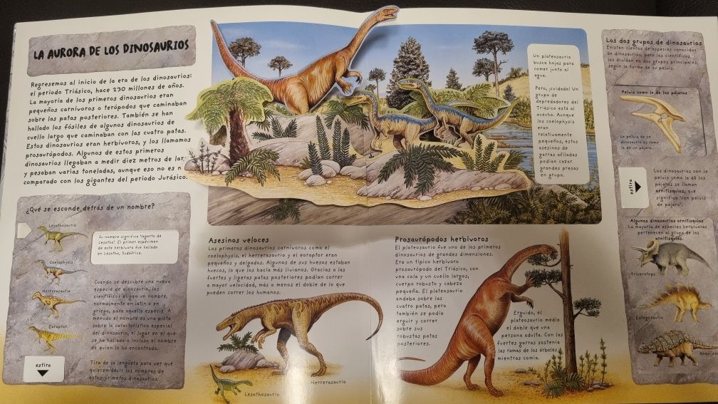 Livro Dinossauros desdobrável