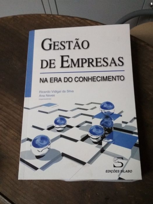 Gestão de Empresas na Era do Conhecimento