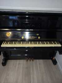 Pianino arnold fibiger