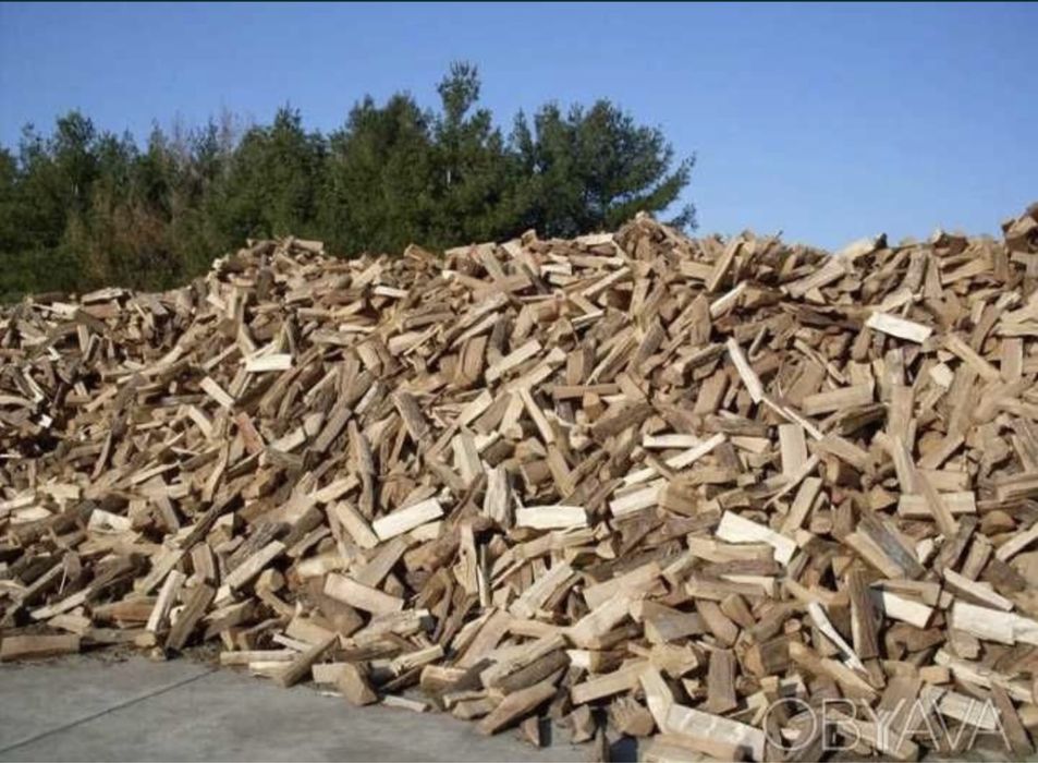 ДРОВА: акация, дуб, ясень.Тополь