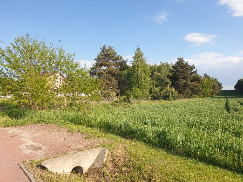 Działka budowlana 65 arów