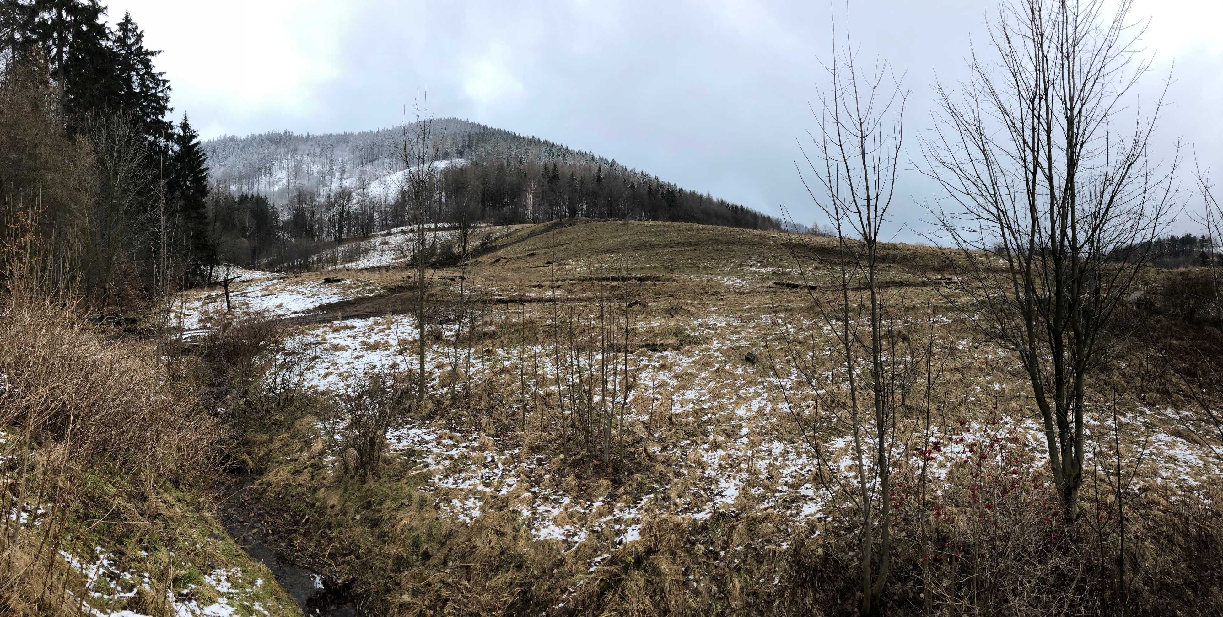 Działka budowlana pod dom przy lesie - 1143m2, Jedlina-Zdrój