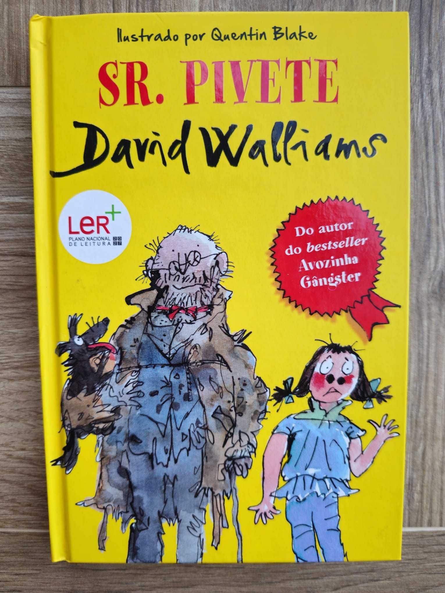 Sr. Pivete - David Walliams - portes correio editorial incluídos