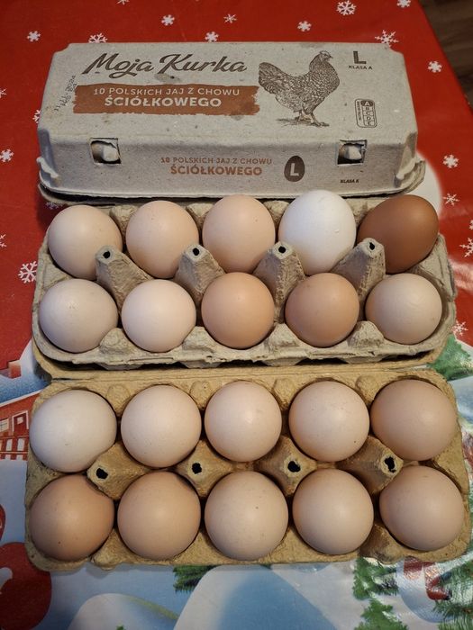 Sprzedam jajka wiejskie