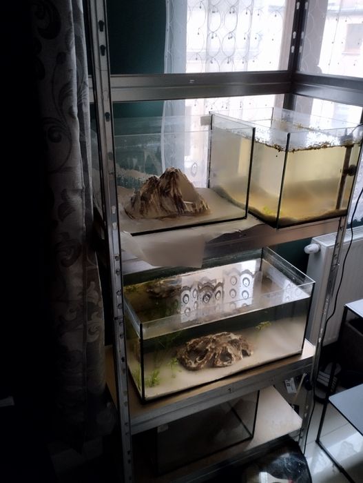 Regał do piwnicy na narzędzia