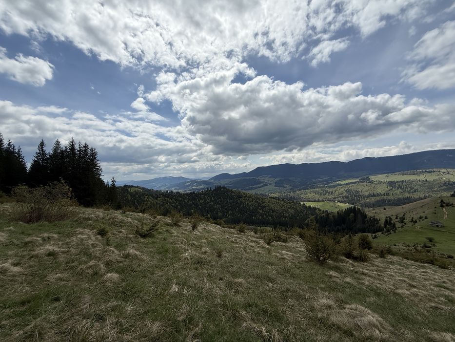 7 гектарів з видом на новерлу