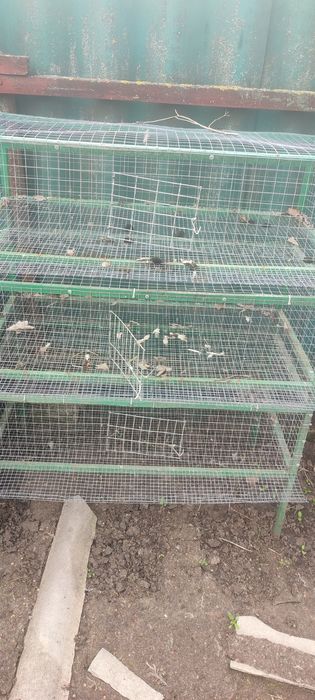 Продам клетки для птици